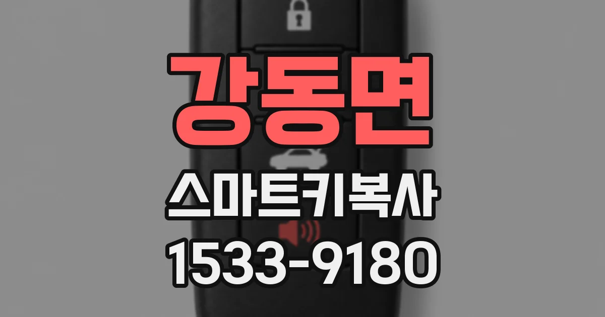 강동면 스마트키복사