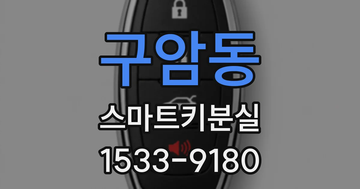 구암동 스마트키분실