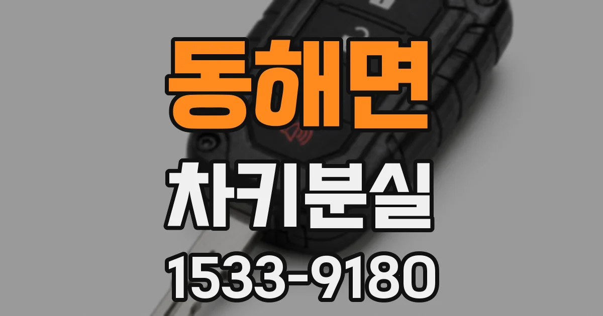 동해면 차키분실