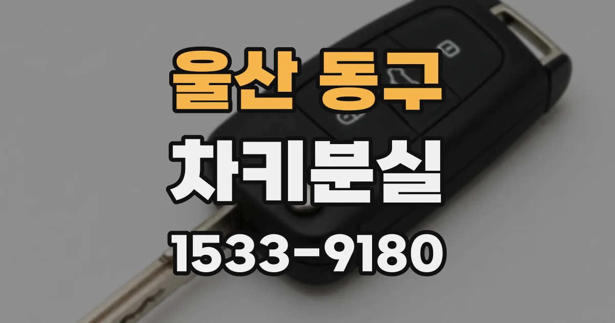 울산 동구 차키분실