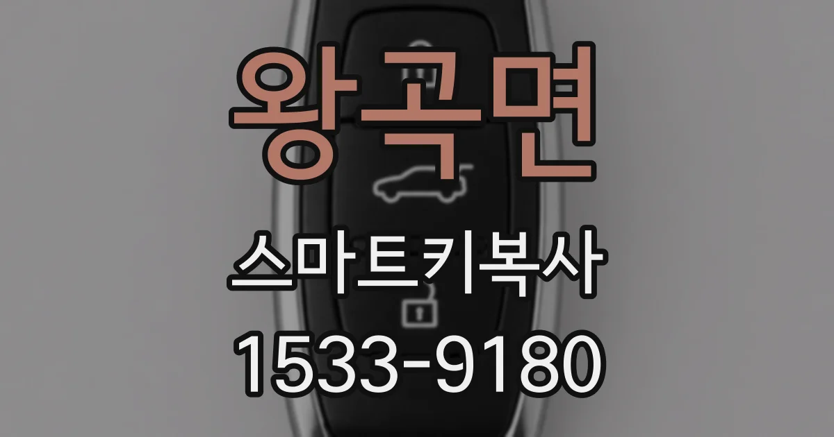 왕곡면 스마트키복사