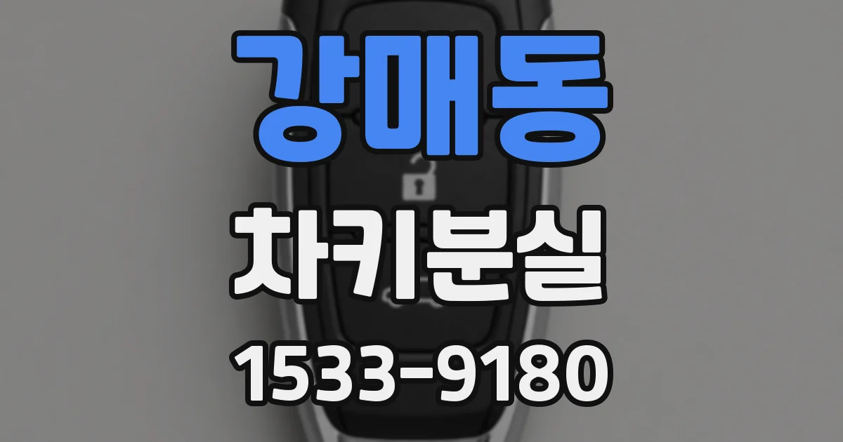 강매동 차키분실