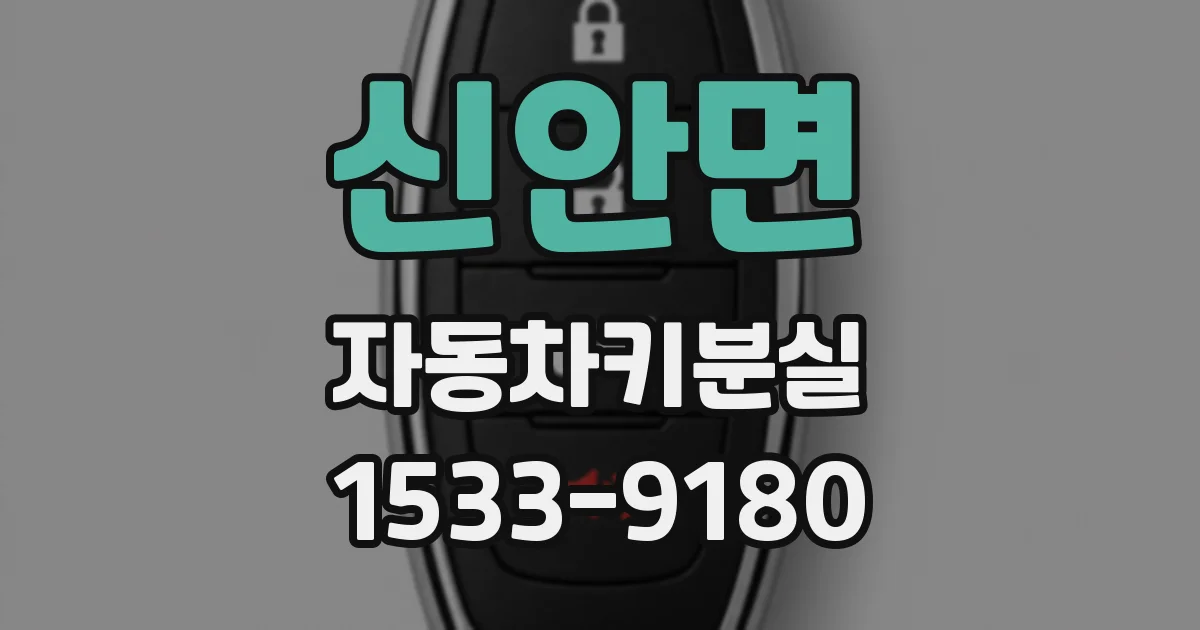 신안면 자동차키분실