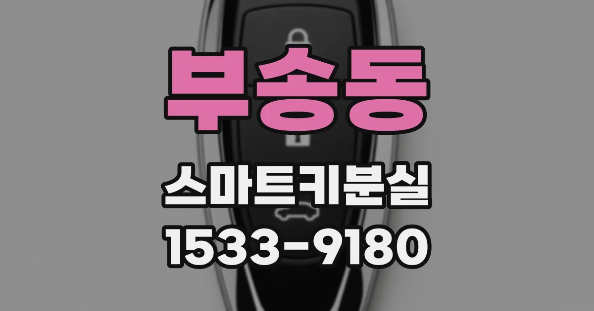 부송동 스마트키분실