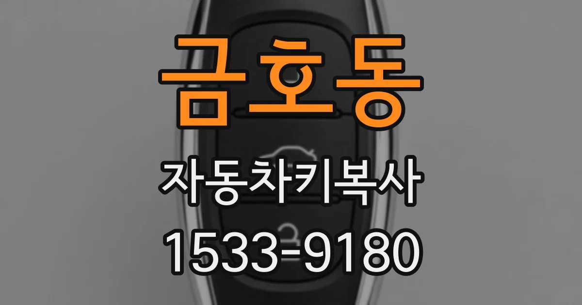 금호동 자동차키복사