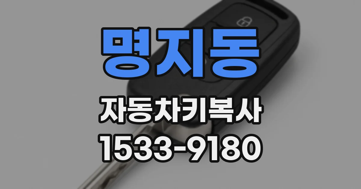 명지동 자동차키복사