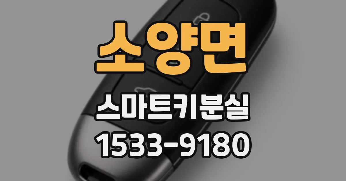 소양면 스마트키분실