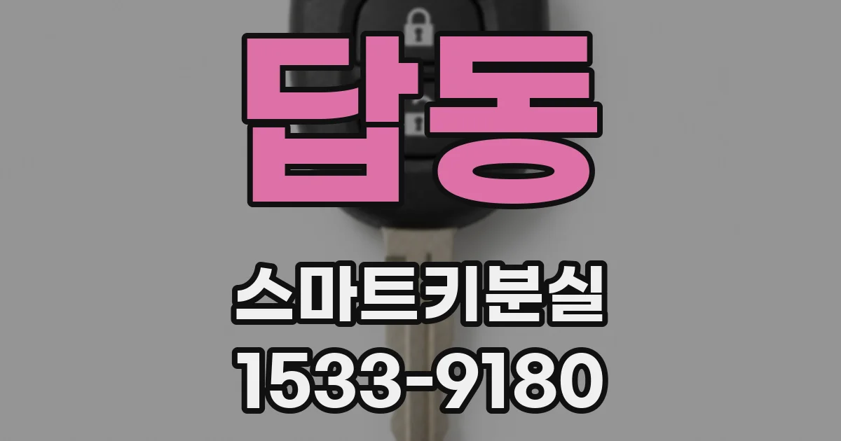 답동 스마트키분실