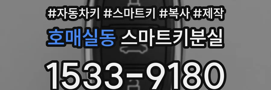 호매실동 스마트키분실