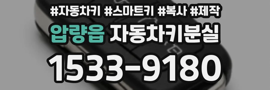 압량읍 자동차키분실
