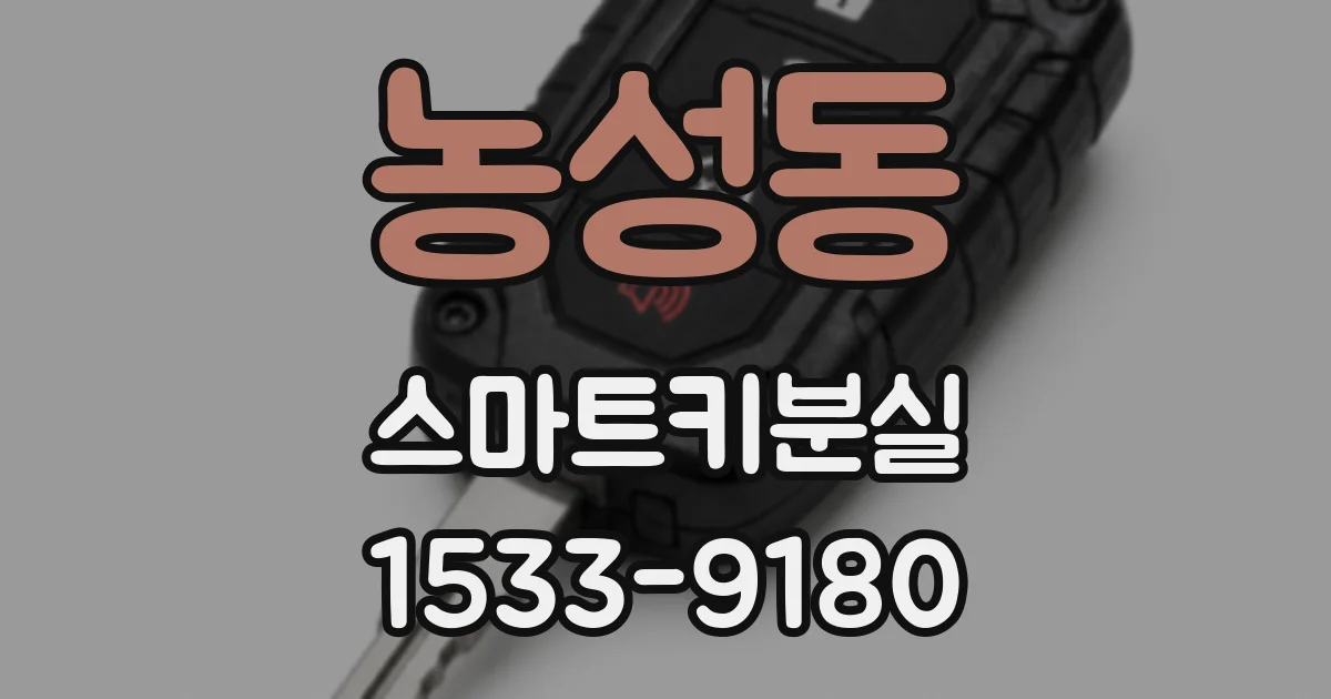 농성동 스마트키분실