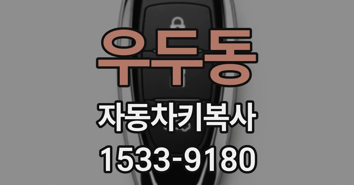 우두동 자동차키복사