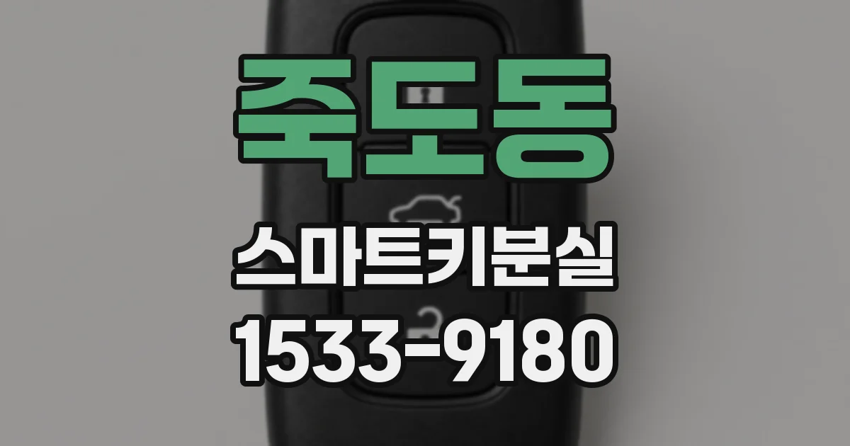 죽도동 스마트키분실