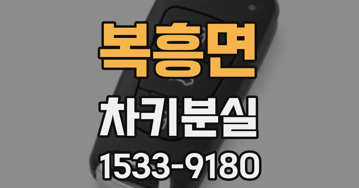 복흥면 차키분실