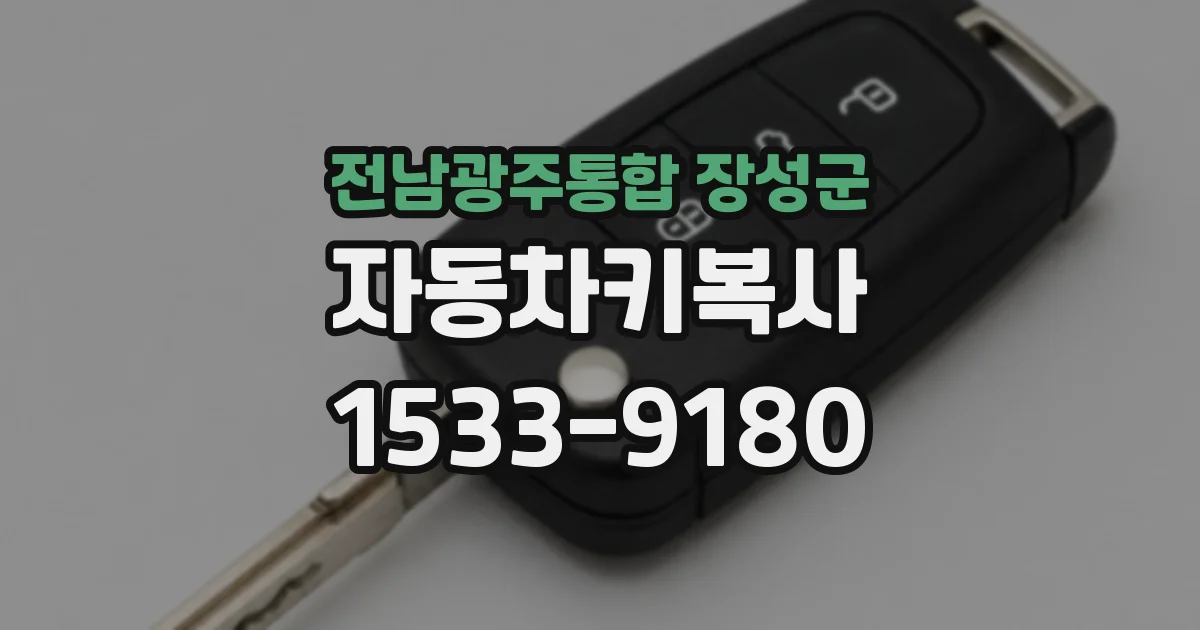 전남광주통합 장성군 자동차키복사