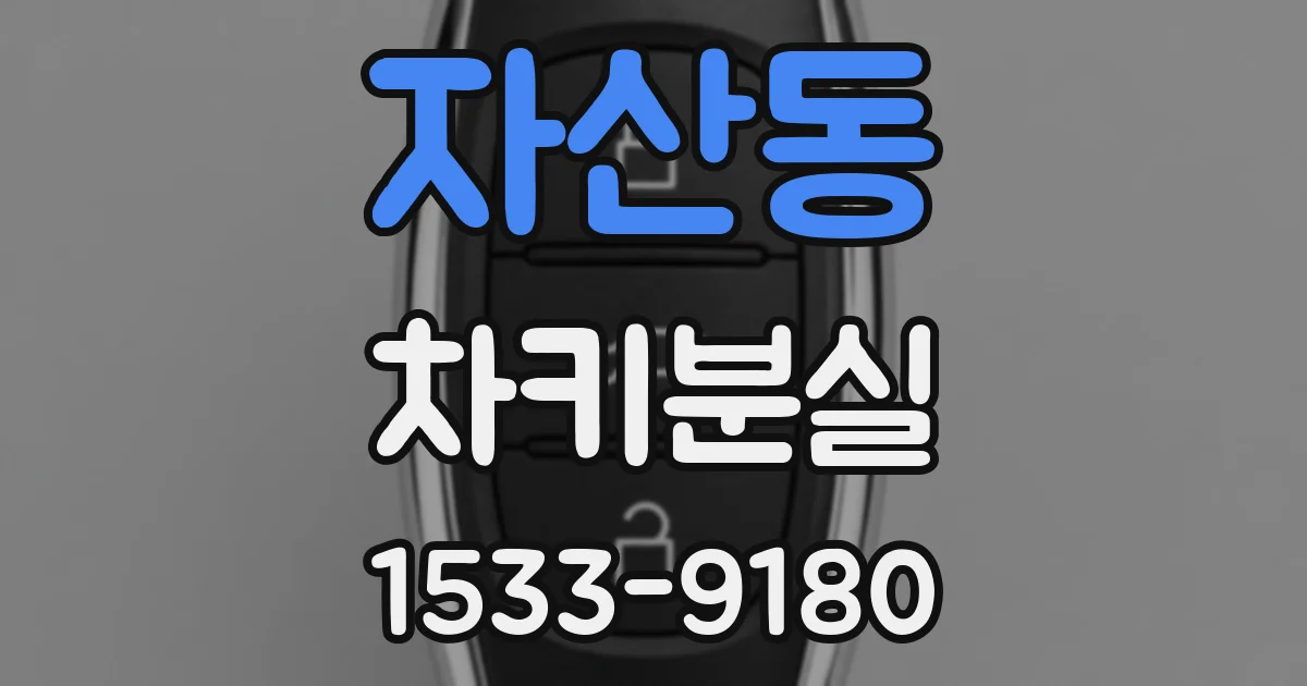 자산동 차키분실