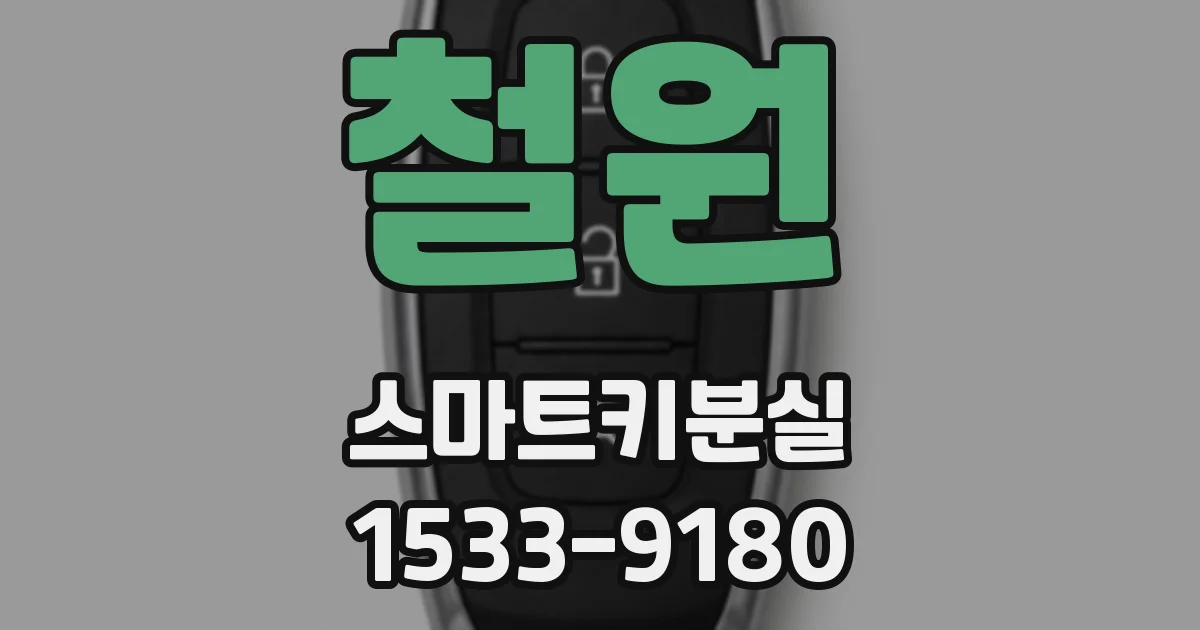 철원 스마트키분실