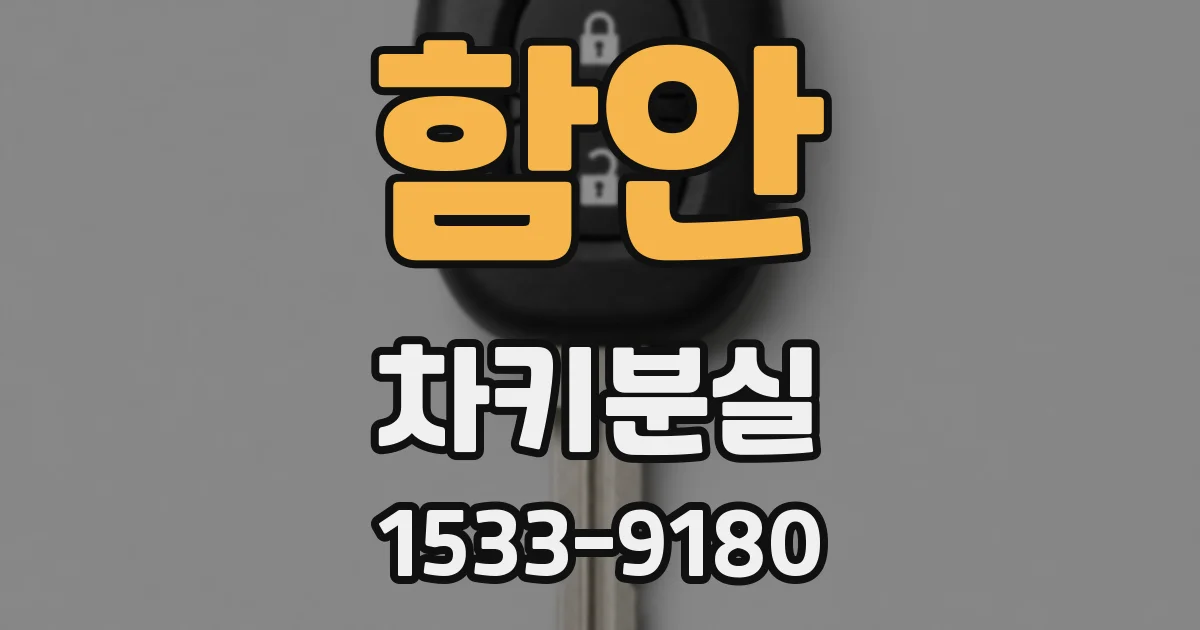 함안 차키분실