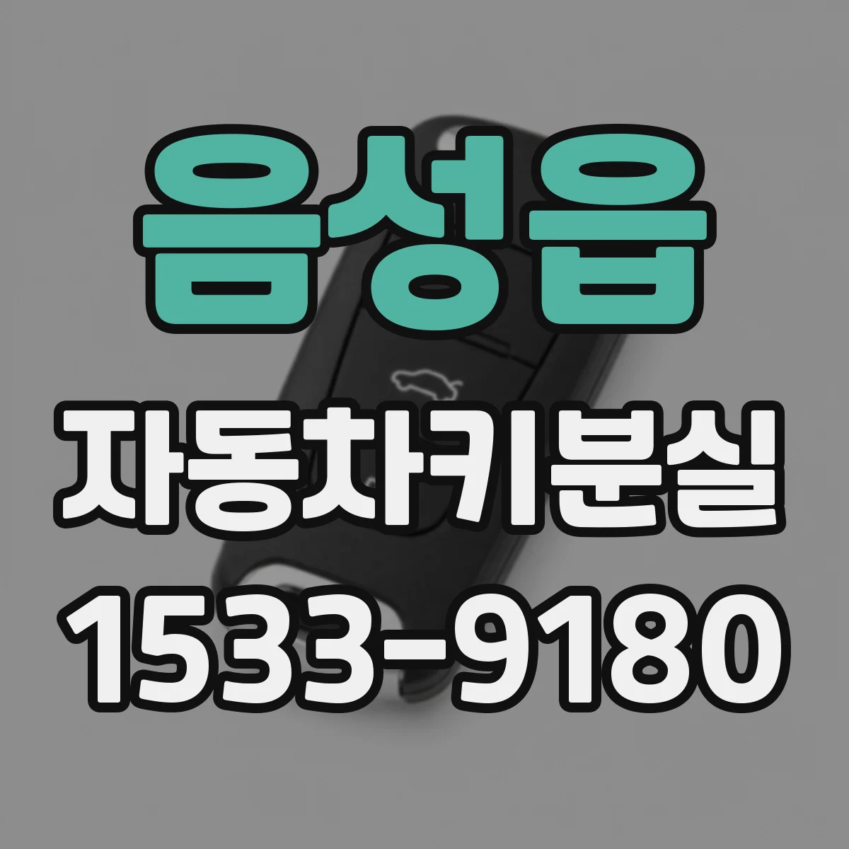 음성읍 자동차키분실