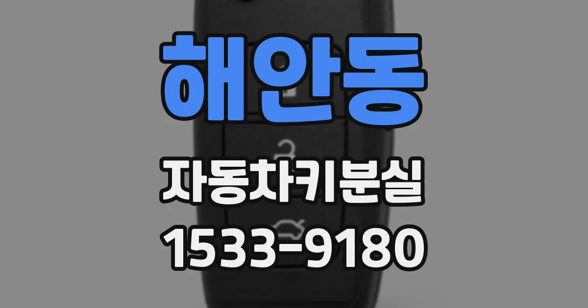 해안동 자동차키분실