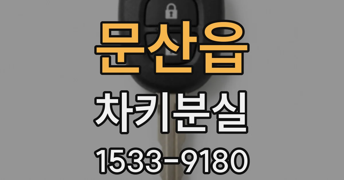 문산읍 차키분실