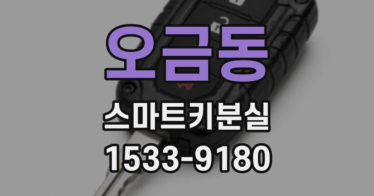 오금동 스마트키분실