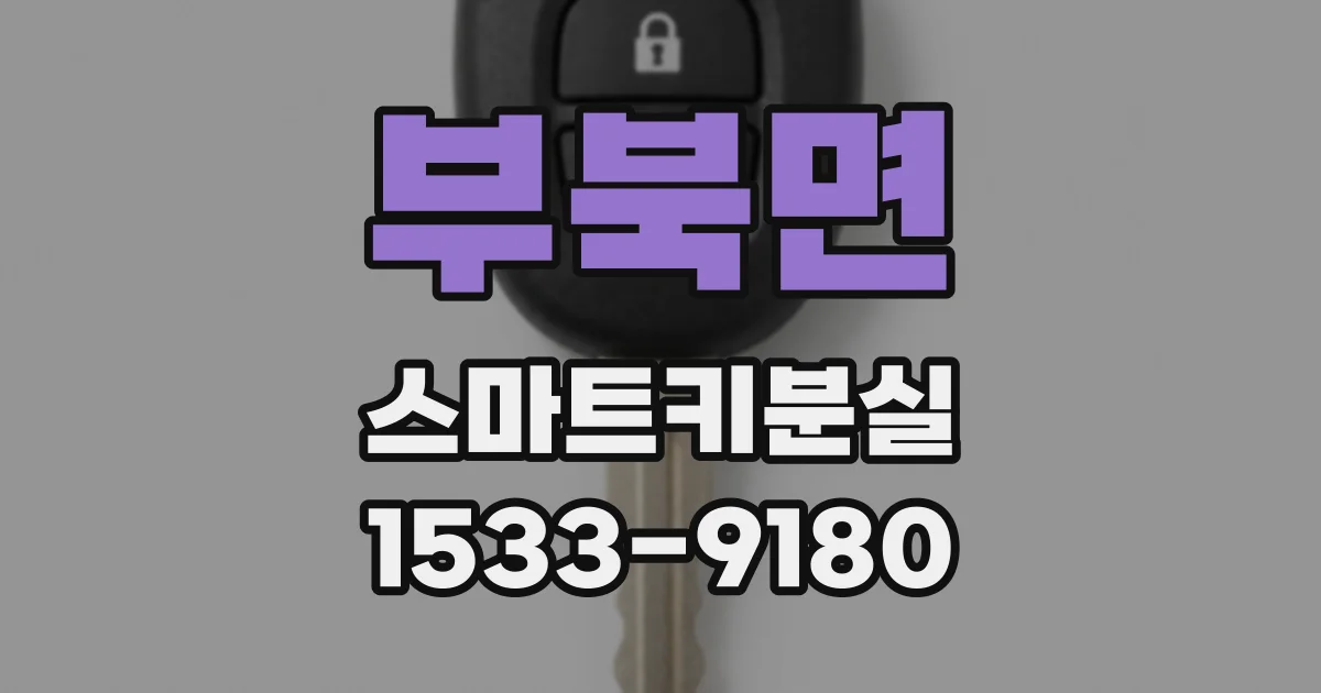 부북면 스마트키분실