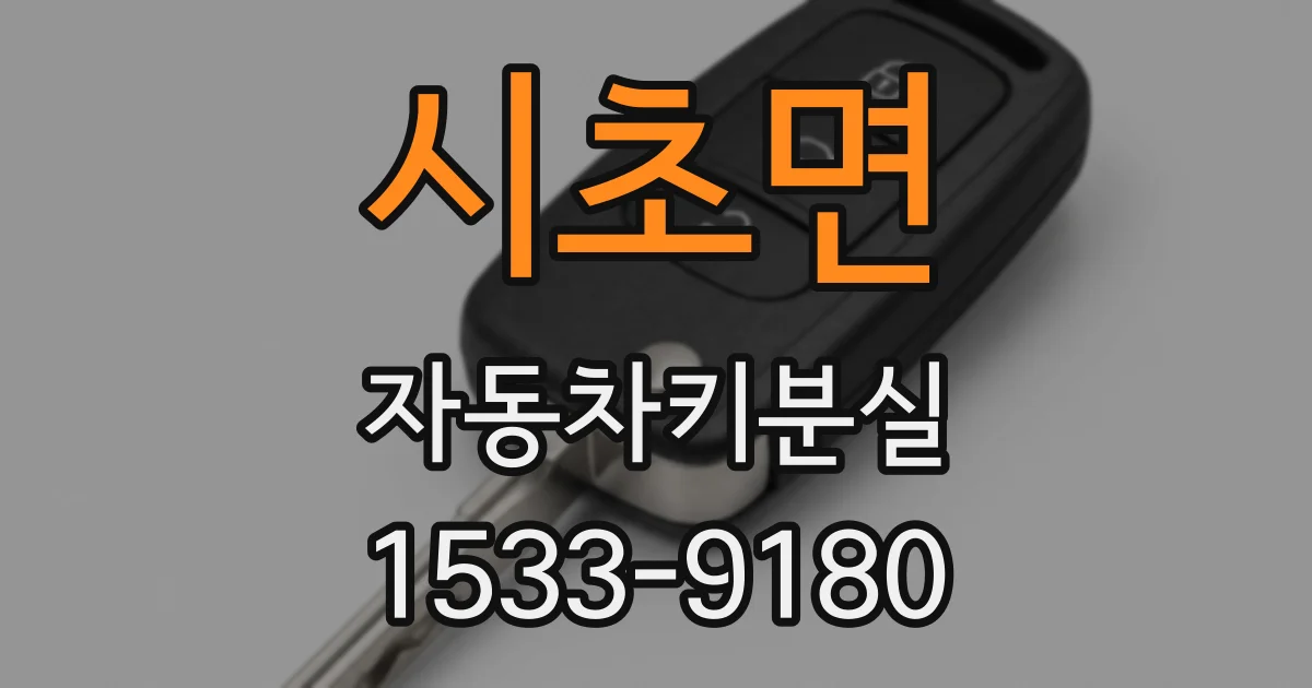 시초면 자동차키분실