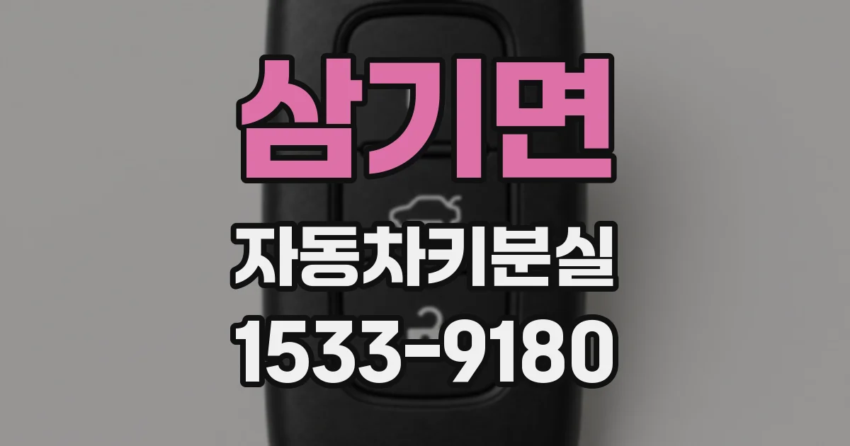 삼기면 자동차키분실