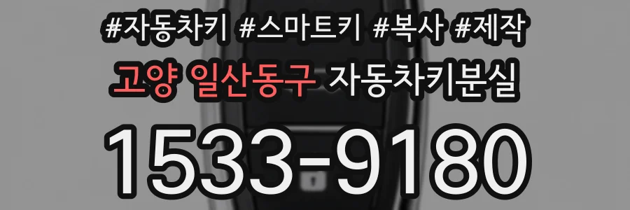 고양 일산동구 자동차키분실