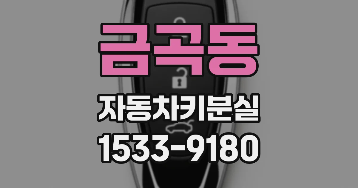 금곡동 자동차키분실