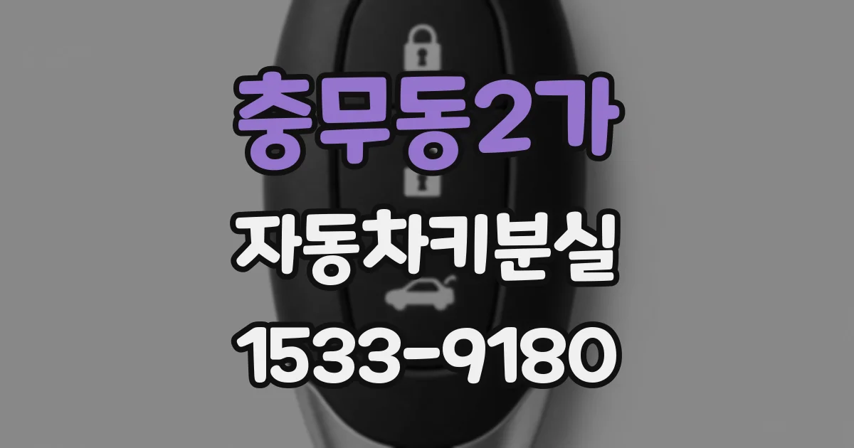 충무동2가 자동차키분실