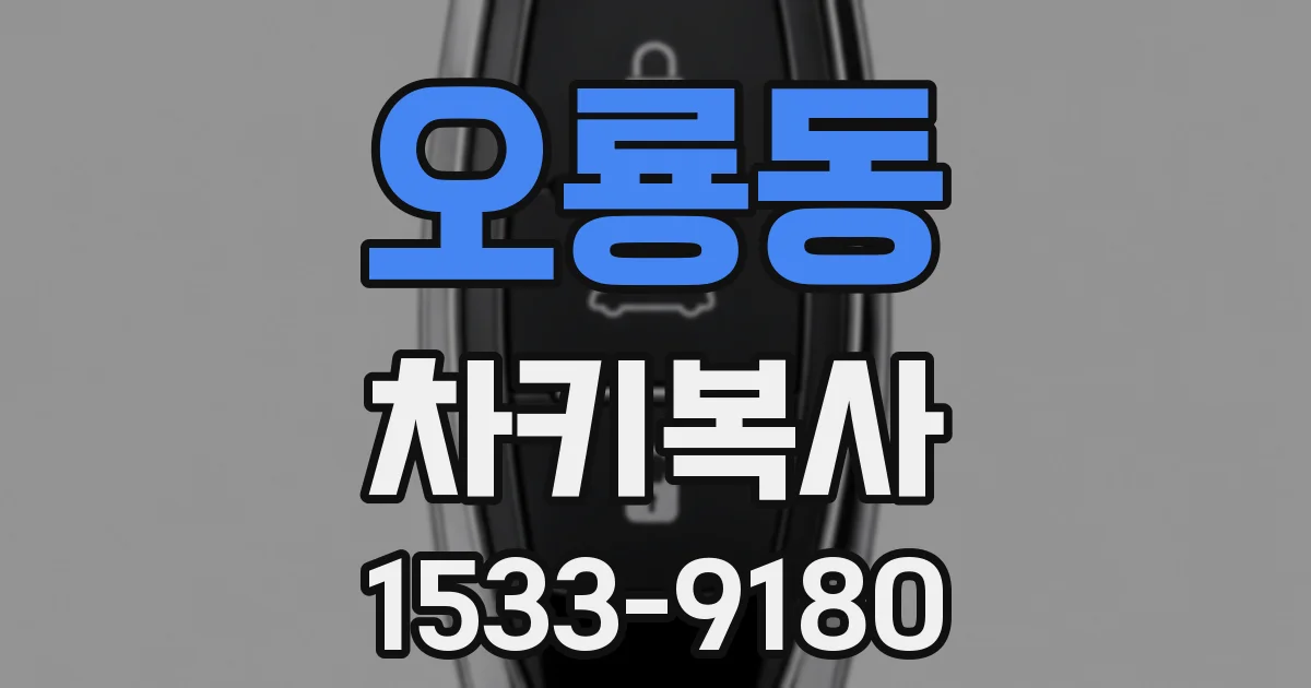 오룡동 차키복사