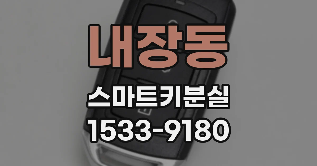 내장동 스마트키분실