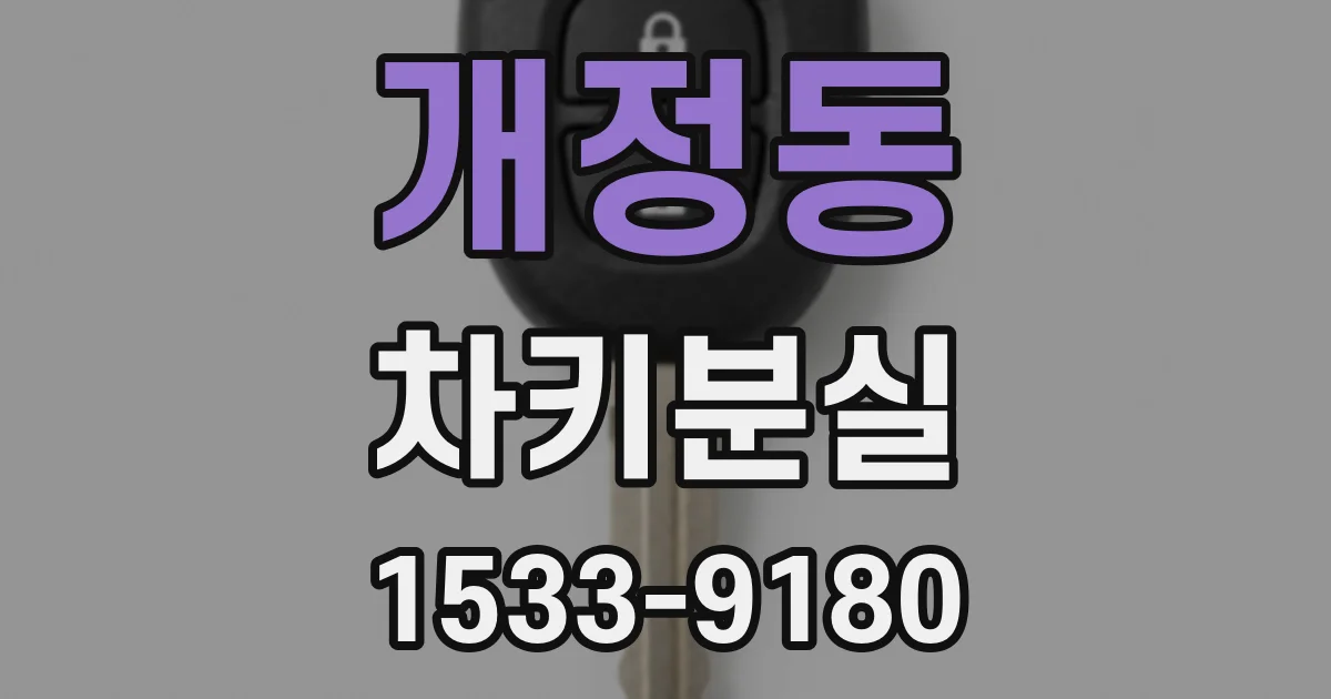 개정동 차키분실