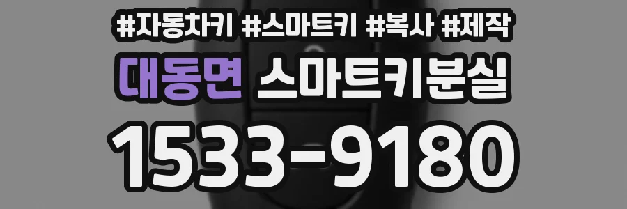 대동면 스마트키분실