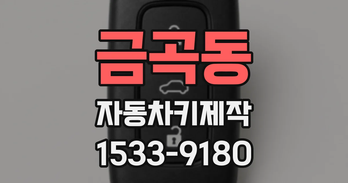 금곡동 자동차키제작