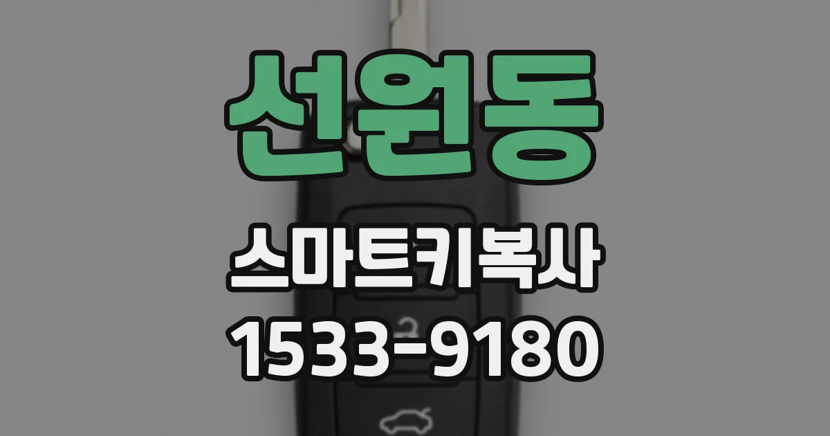 선원동 스마트키복사
