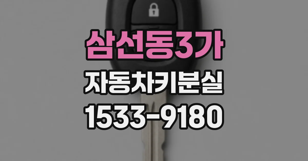 삼선동3가 자동차키분실