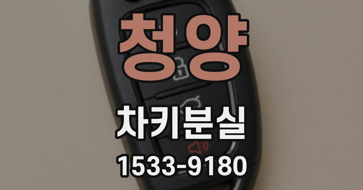 청양 차키분실
