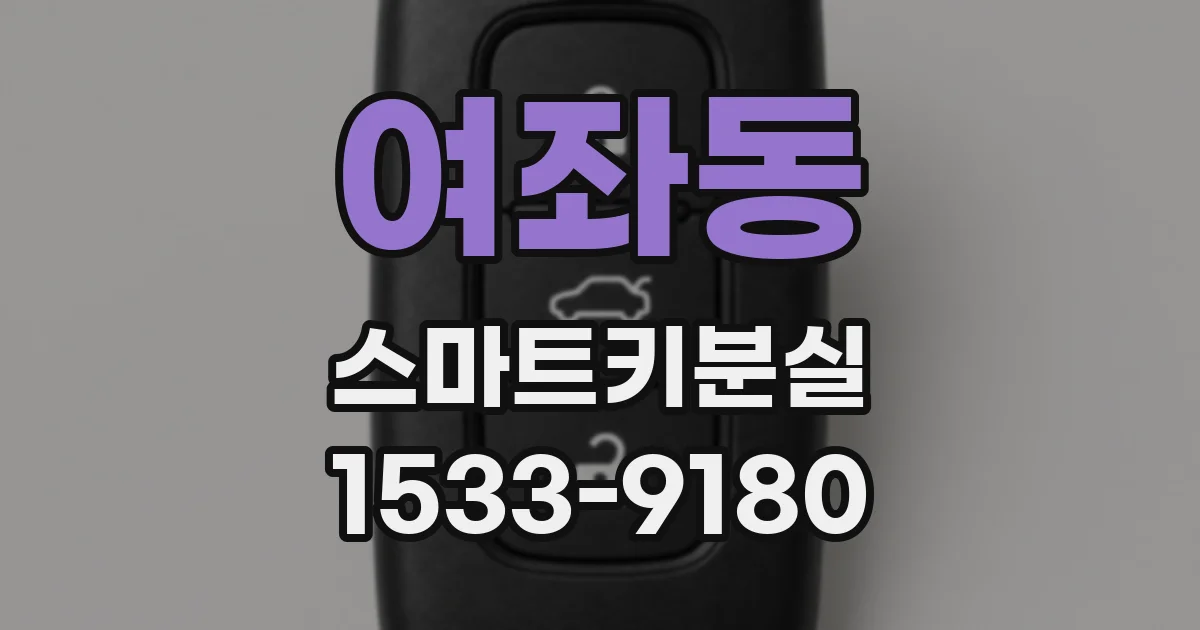 여좌동 스마트키분실
