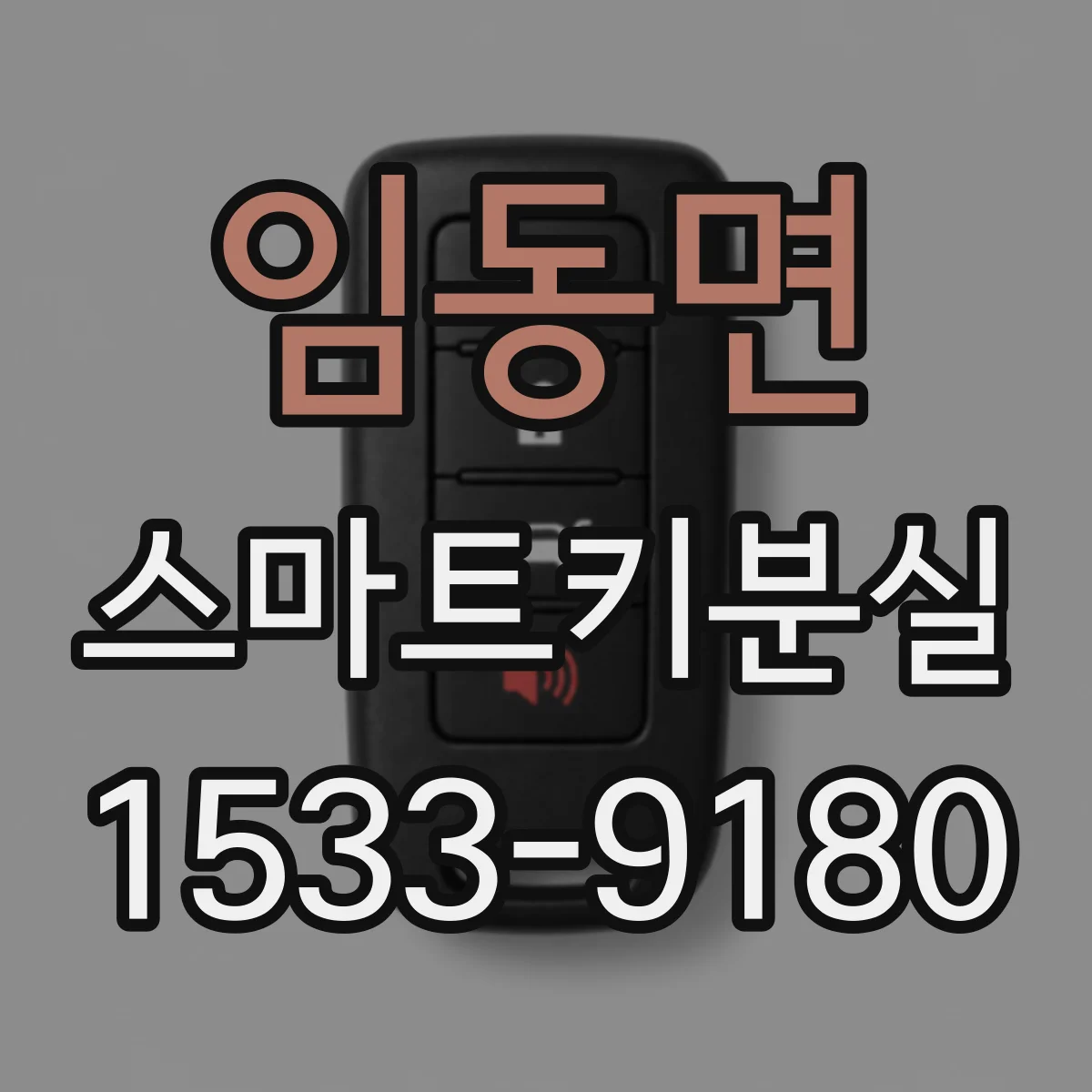 임동면 스마트키분실