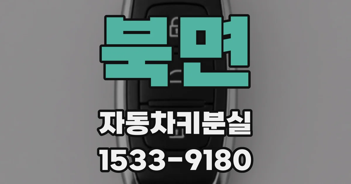 북면 자동차키분실