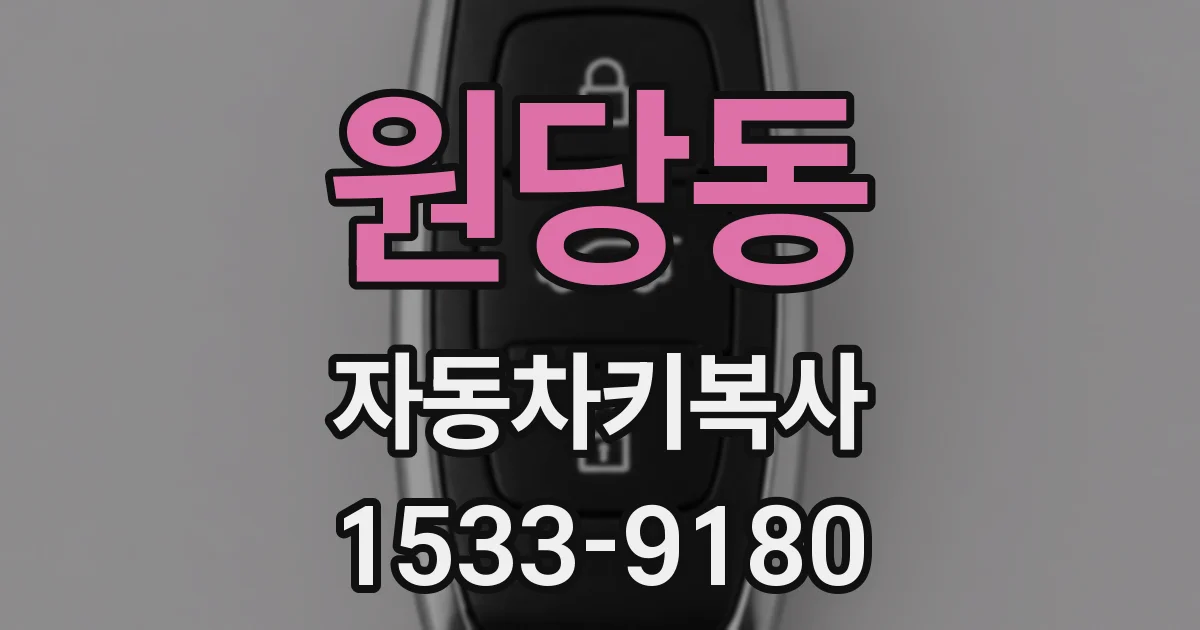 원당동 자동차키복사