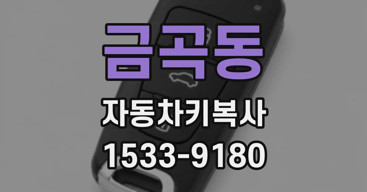 금곡동 자동차키복사