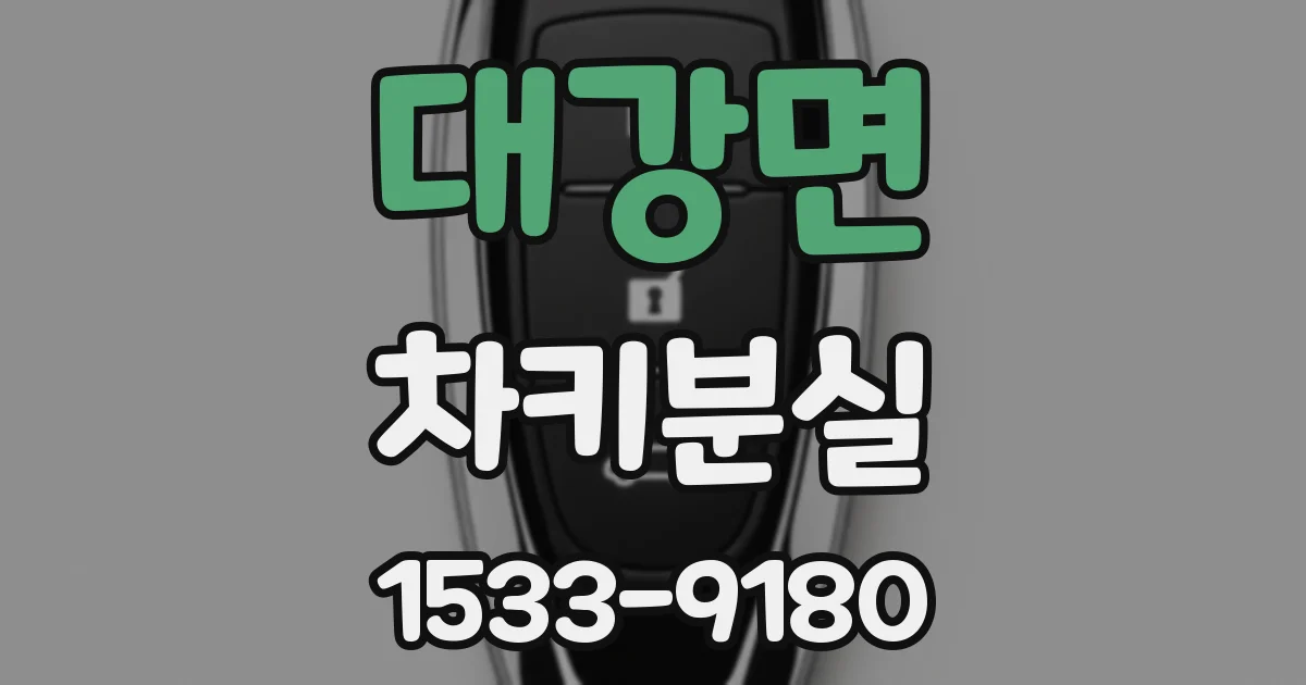 대강면 차키분실