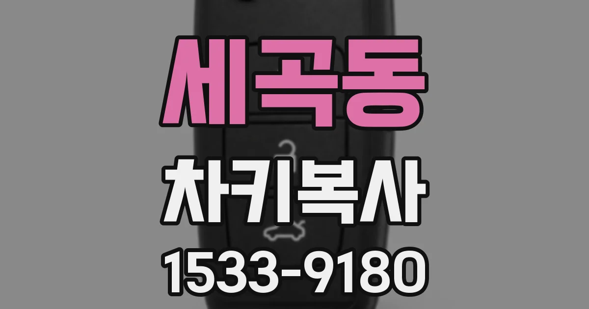 세곡동 차키복사