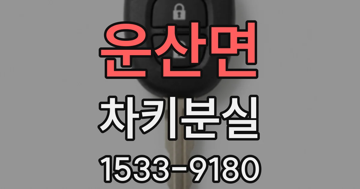 운산면 차키분실