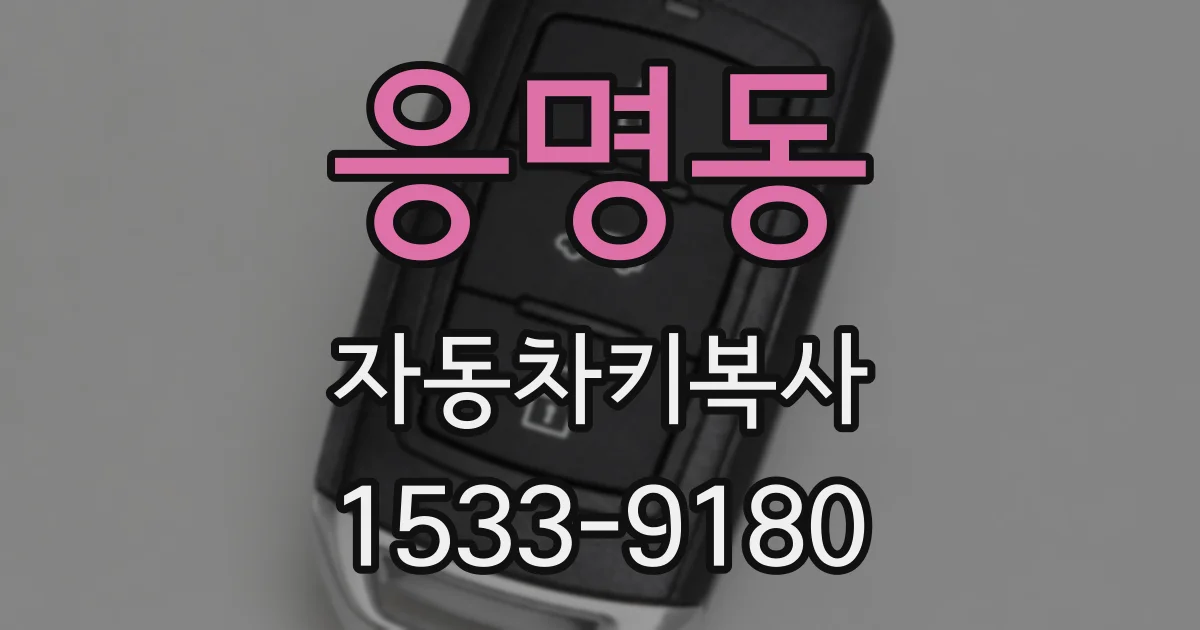 응명동 자동차키복사