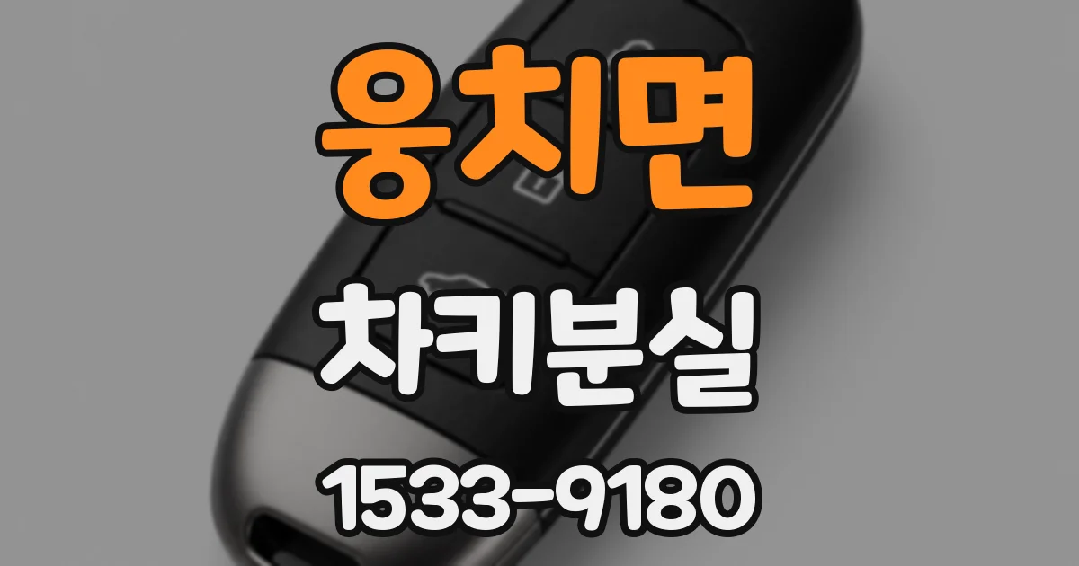 웅치면 차키분실